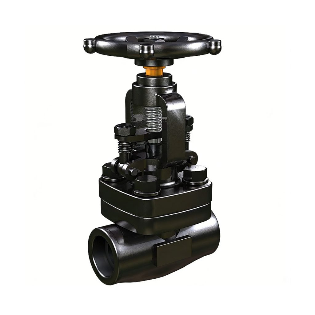 Forged Steel Globe Valve
